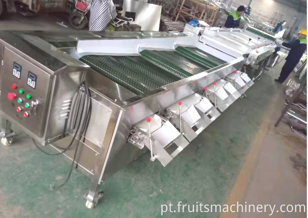 Blueberry Sorting Machine Grading Machine For Blueberry Plant